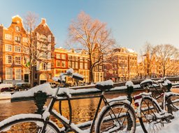 FEM Netherlands Chapter Meeting January 27 2020 - The Revision of the EU Posted Workers Directive