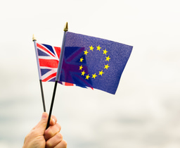 Brexit and the ramifications on Global Mobility