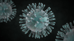 Coronavirus disease (COVID-19) outbreak