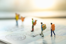 White paper : the IT expats from southern countries