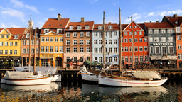 FEM NORDIC CHAPTER MEETING 18/01/19 - meet Daniela Trifiletti