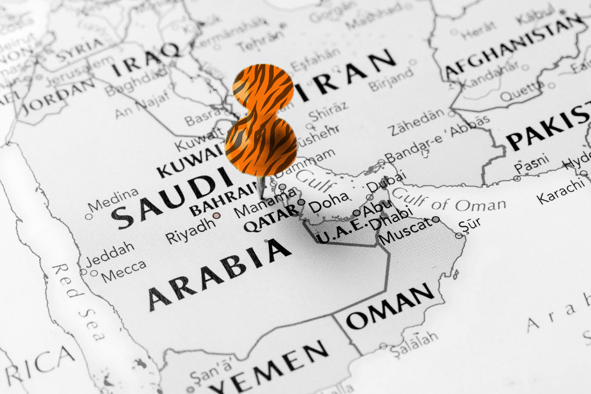 Navigating the Future: Saudi Arabia's Innovative Approach to Global Talent with Premium Residency Program