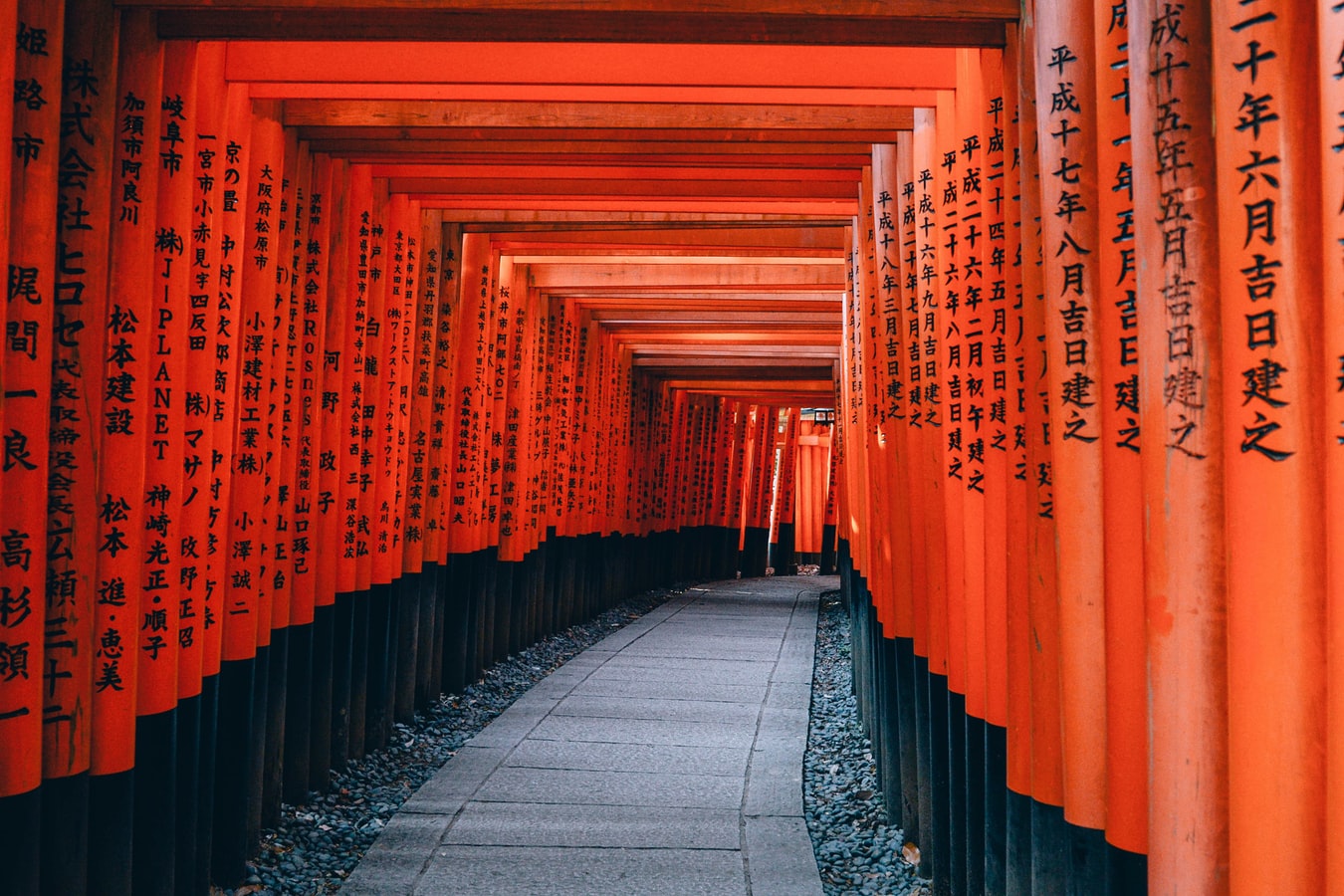 An Employer’s Guide to Social Security Contributions in Japan
