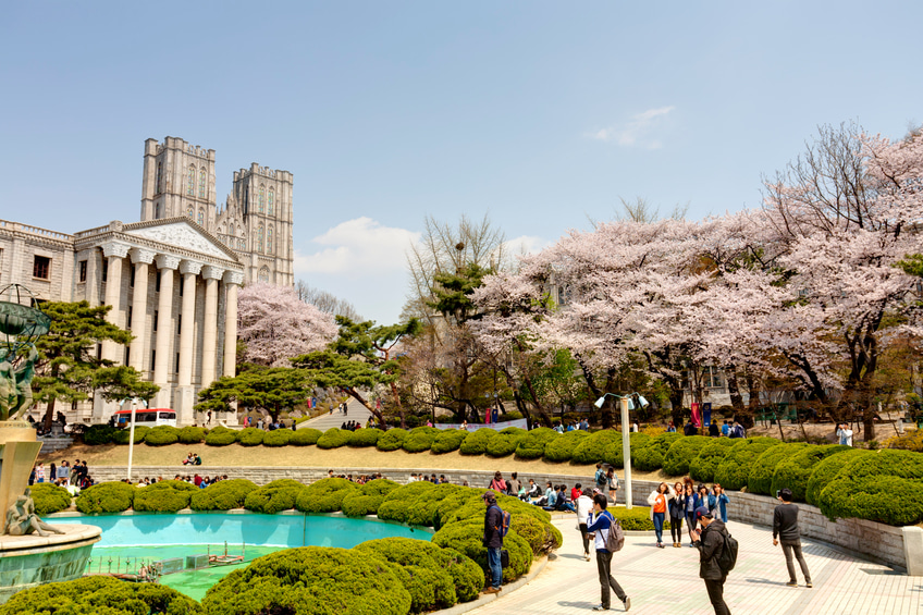 South Korea: New program aims to keep top students in South Korea