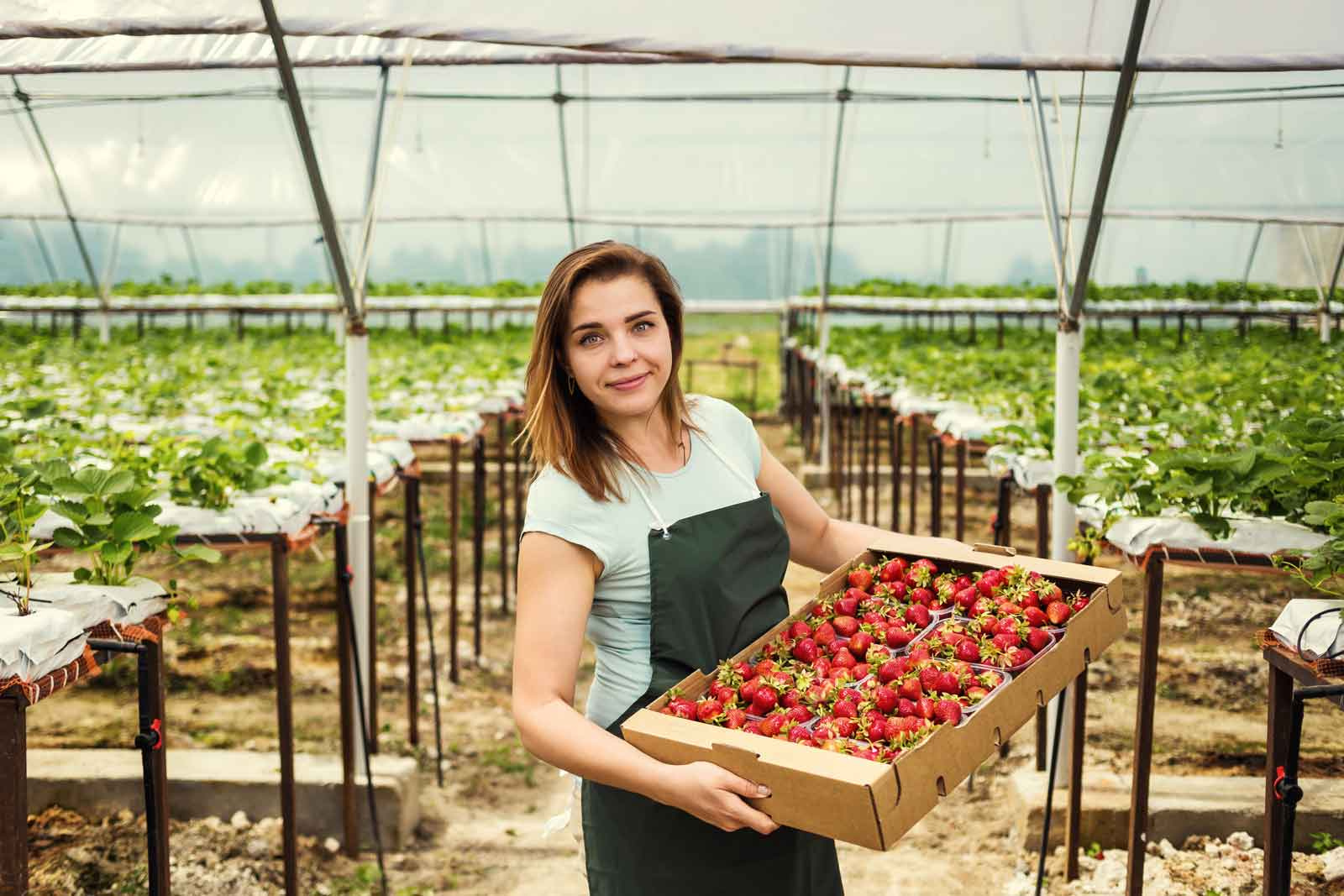 UK points-based immigration: five things employers can do now