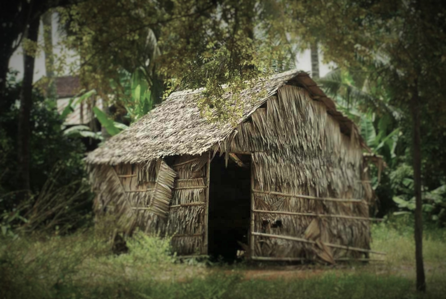 International Assignments...once upon a time