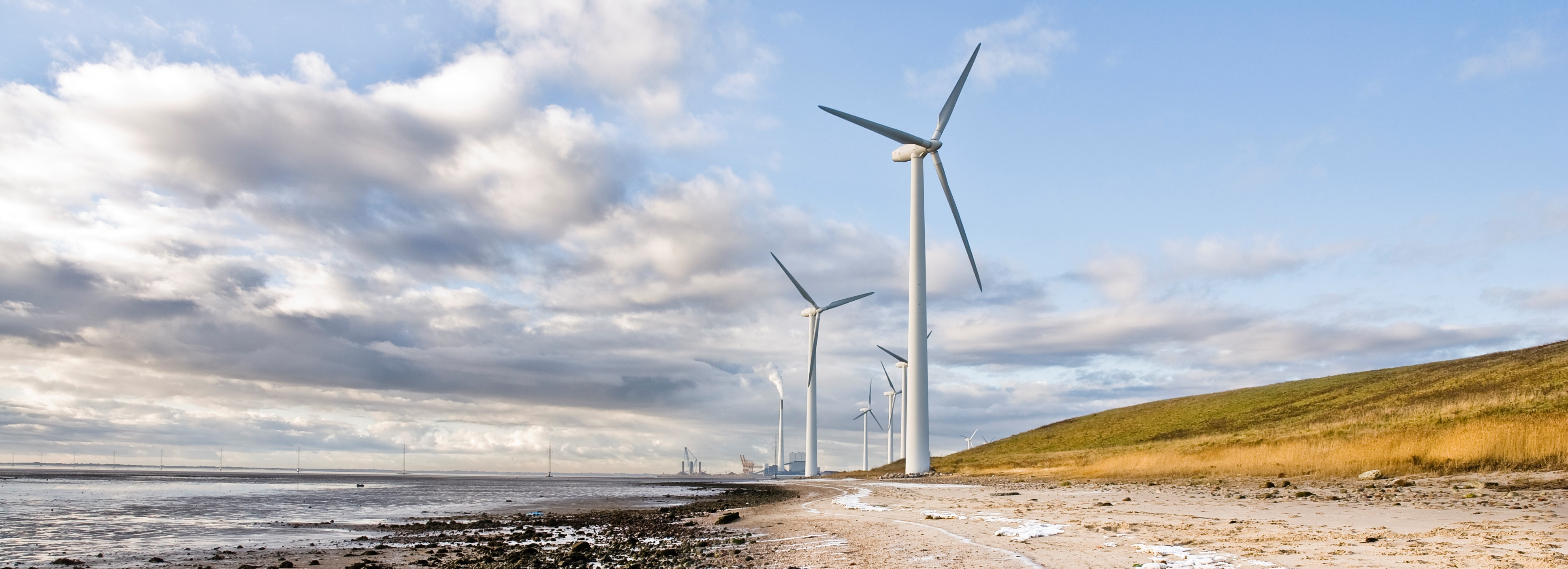 FEM NORDIC CHAPTER MEETING IN ESBJERG HAS BEEN POSTPONED 