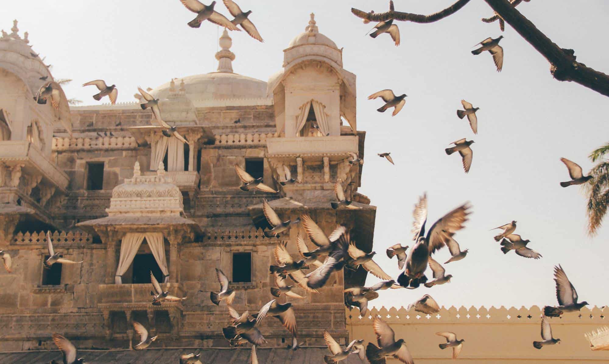 How to Continue Employing Staff in India After Closing an Indian Entity