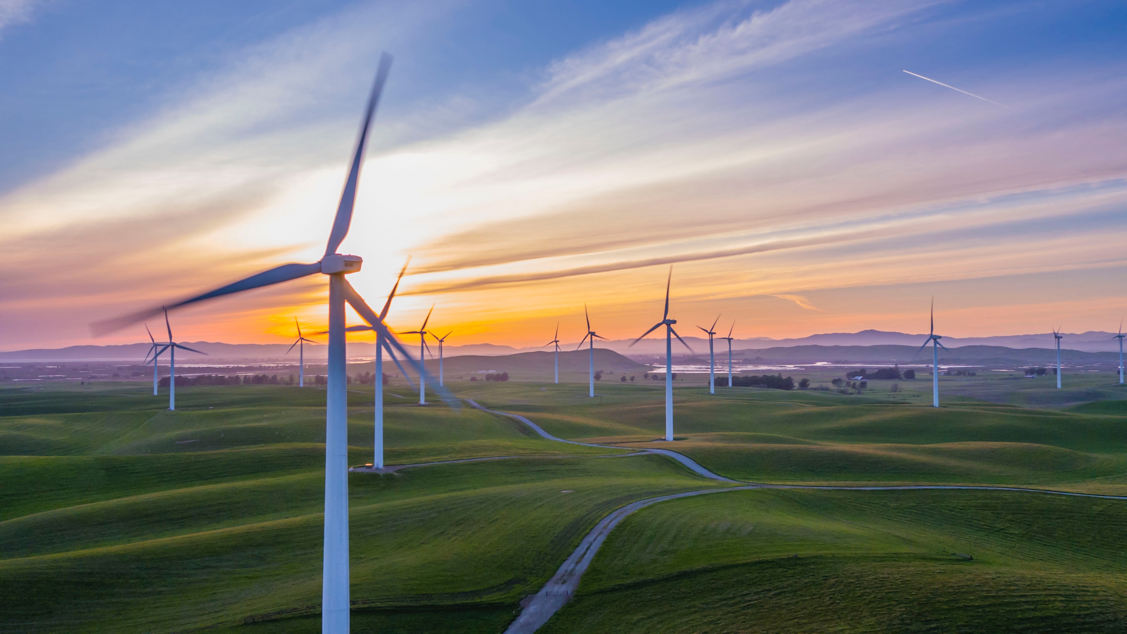 Is WFH more environmentally friendly than working in an office?